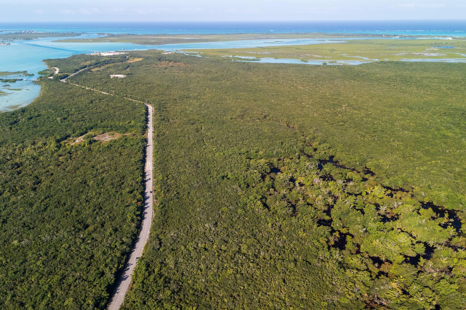 North Caicos Undeveloped Land — photo 3