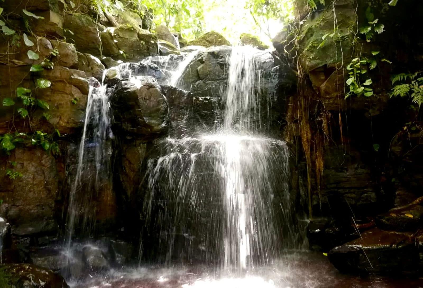 74 Acres of Farm for Sale in Platanillo, Costa Rica — photo 3