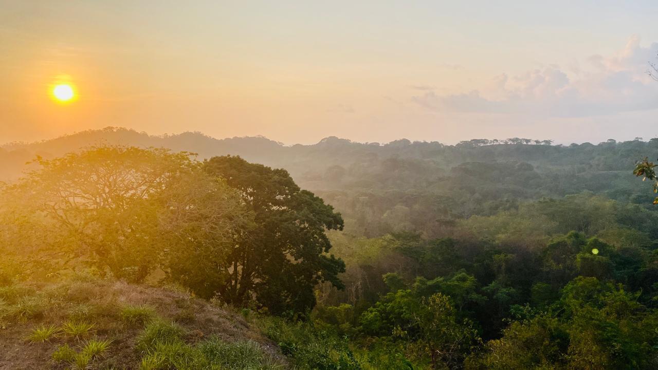 8,722 Sq M Lot for Sale, Cabuya, Santa Teresa, Puntarenas, Costa Rica — photo 1