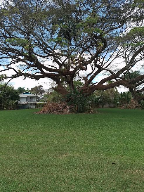 3 Bedroom Home for Sale, Palmar Sur, Golfito, Puntarenas, Costa Rica — photo 5