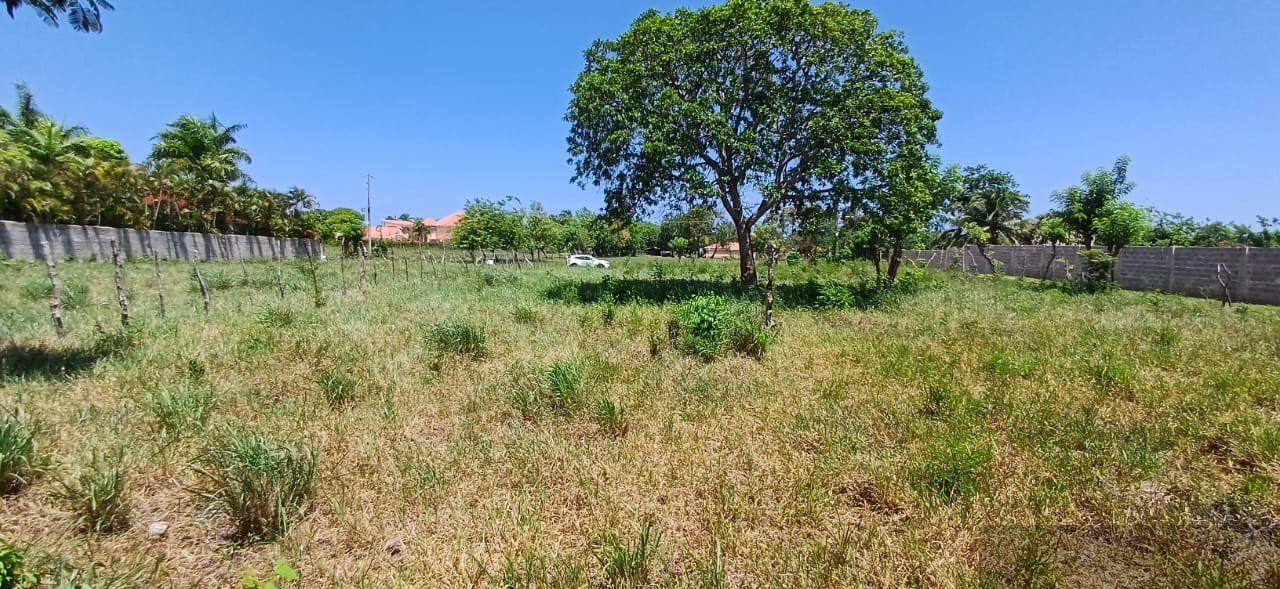 Spacious Building Lot for Sale in Lomas Mironas, Cabarete with Financing Available — photo 5