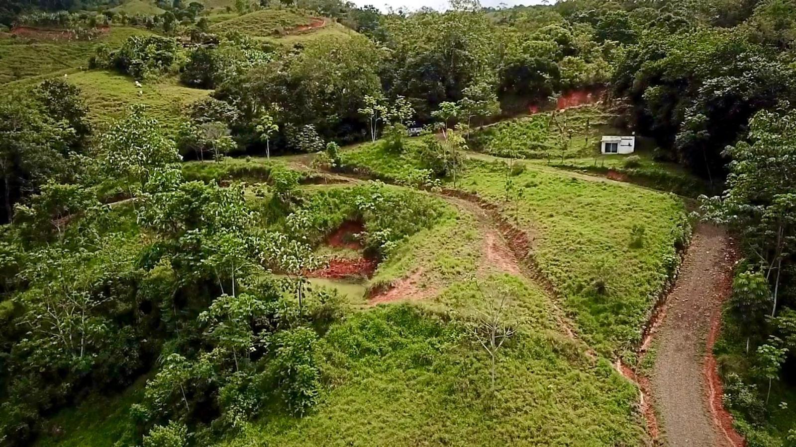74 Acres of Farm for Sale in Platanillo, Costa Rica — photo 5