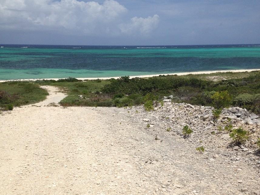 Vacant Land for sale - Lot 5, Jewfish Hill — photo 5