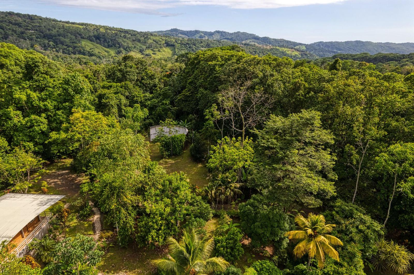 25 Hectare Retreat Center for Sale in Tinamastes — photo 4