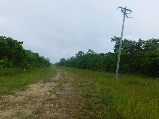 #2510 - 70 ACRES + RIVER - STANN CREEK DISTRICT, BELIZE — photo 3