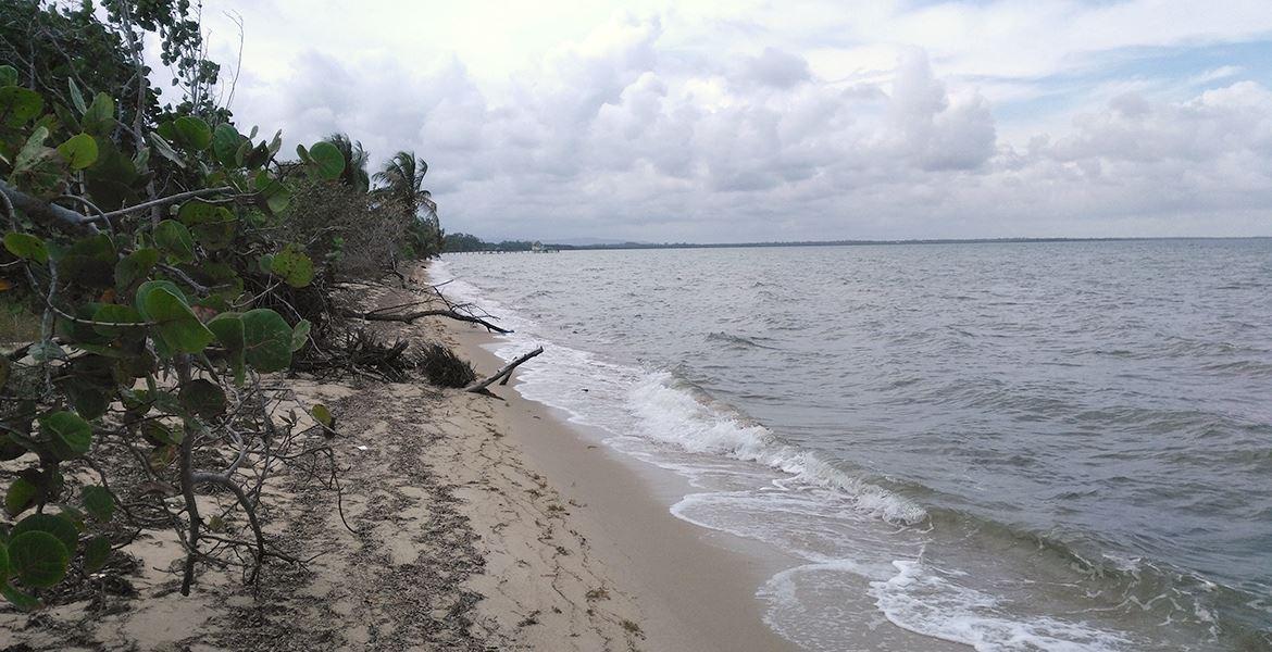 Affordable Mayacan Lot on the Beach — photo 3