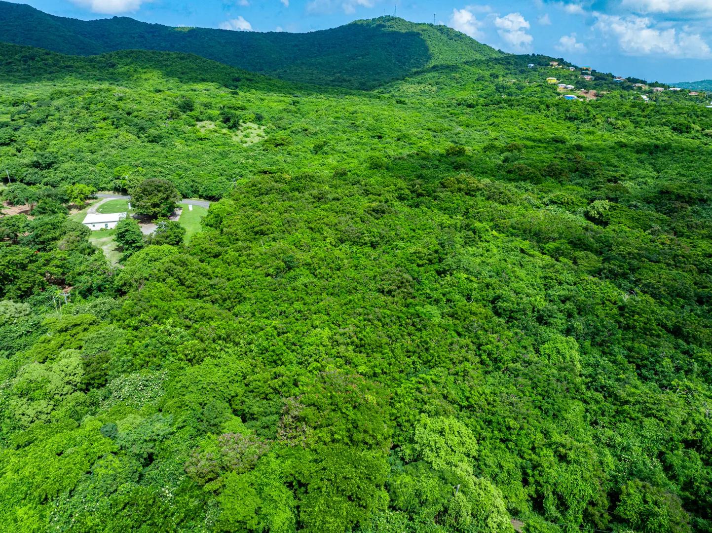 14.33 Acre Lot for Sale in US Virgin Islands — photo 1