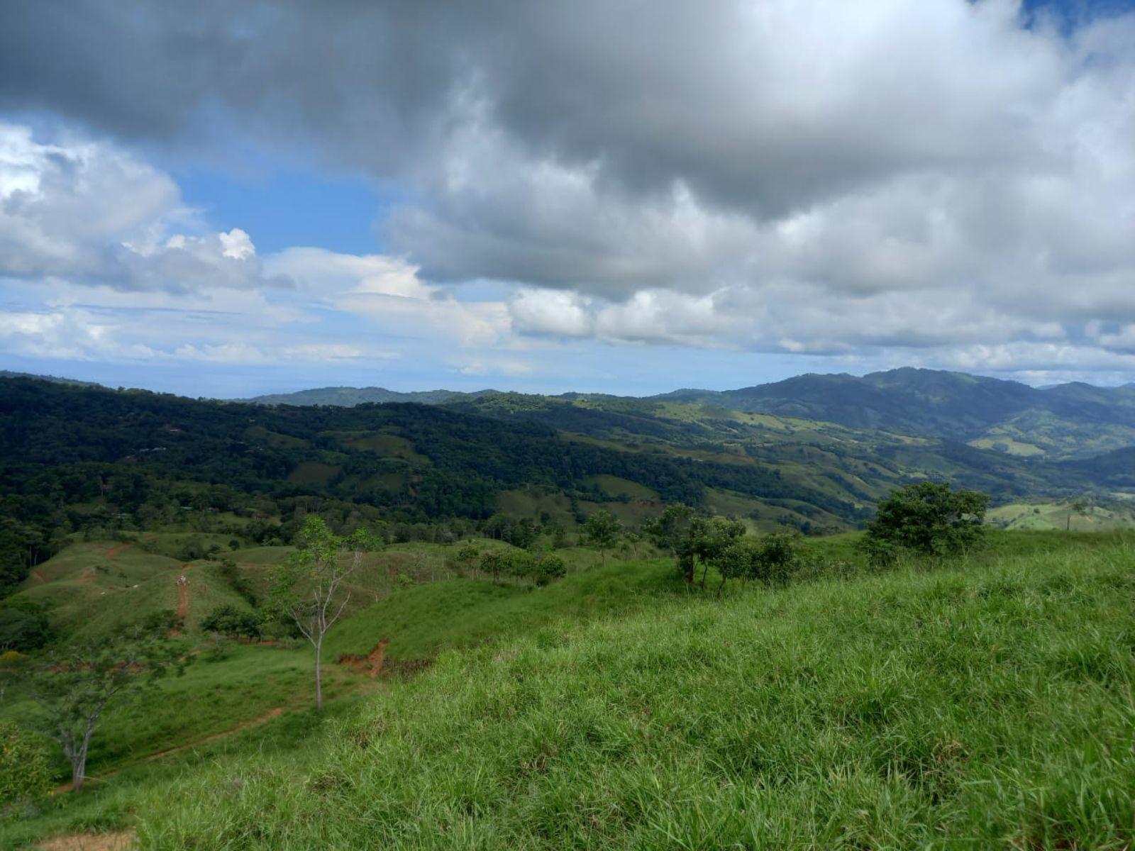 46 Hectares of Land for Sale in Platanillo, Dominical, Costa Rica — photo 5