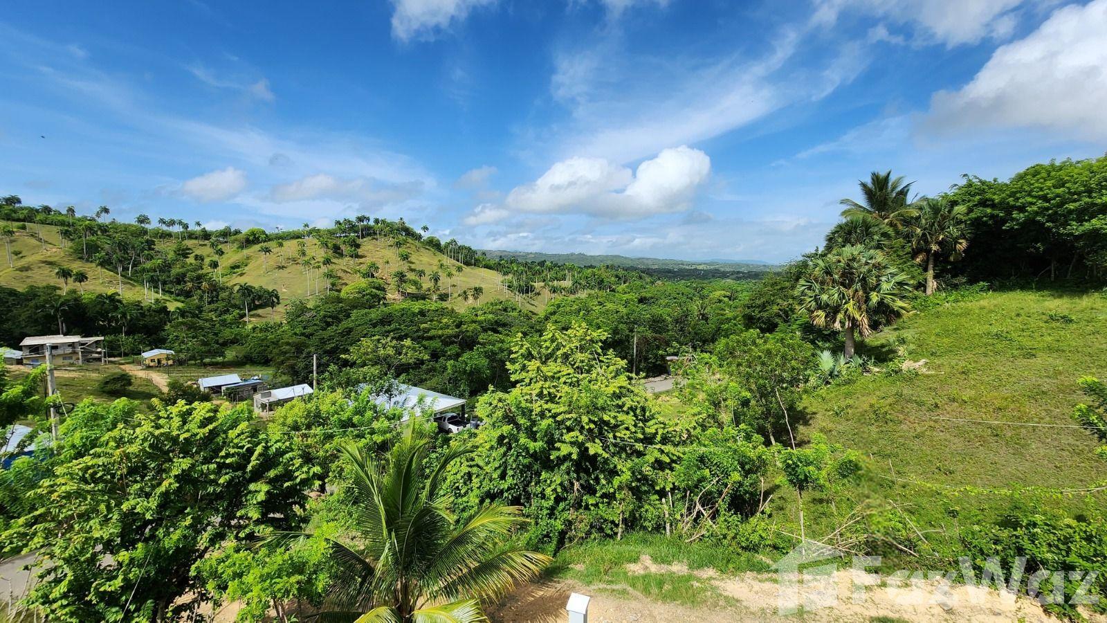 Beautiful Country House for Sale in Sosua Abajo — photo 3