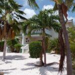 2 bedroom apartment for rent in Jan Thiel, Curaçao — photo 2