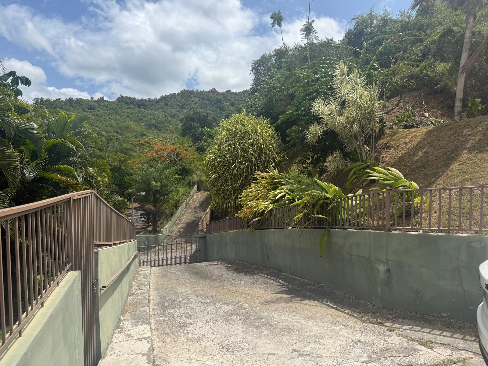 Business + Real Estate Opportunity — photo 3