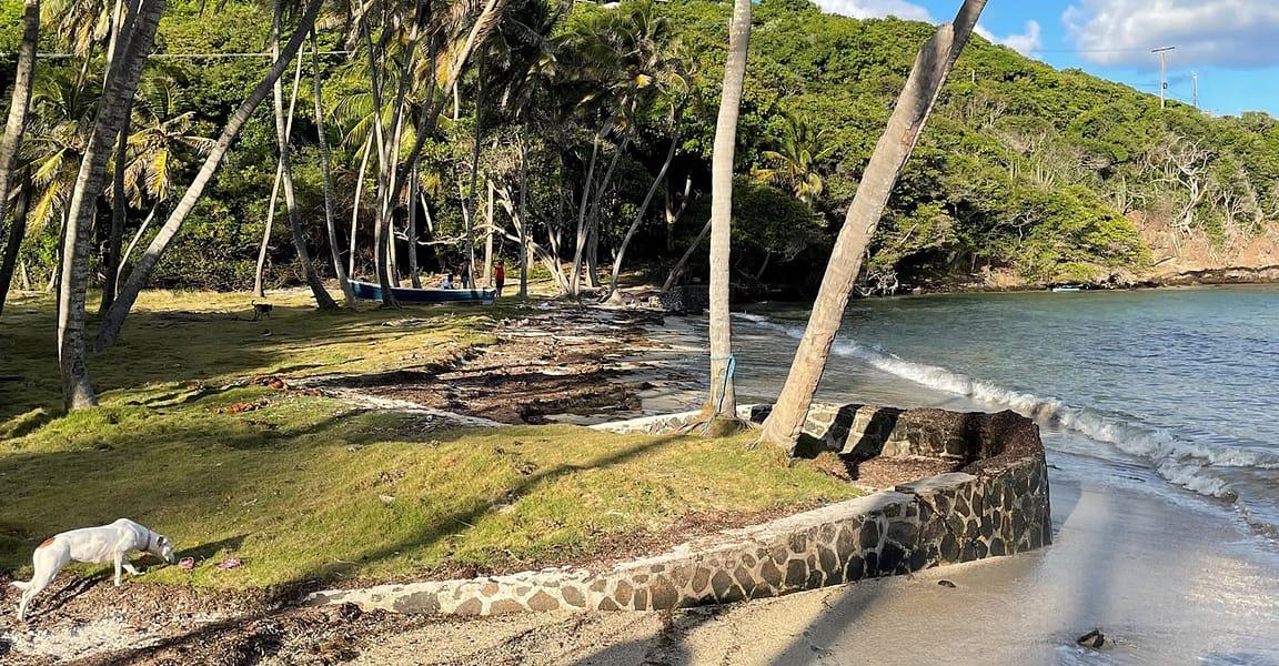 12.4-acre boutique hotel in Spring Estate, Bequia — photo 5