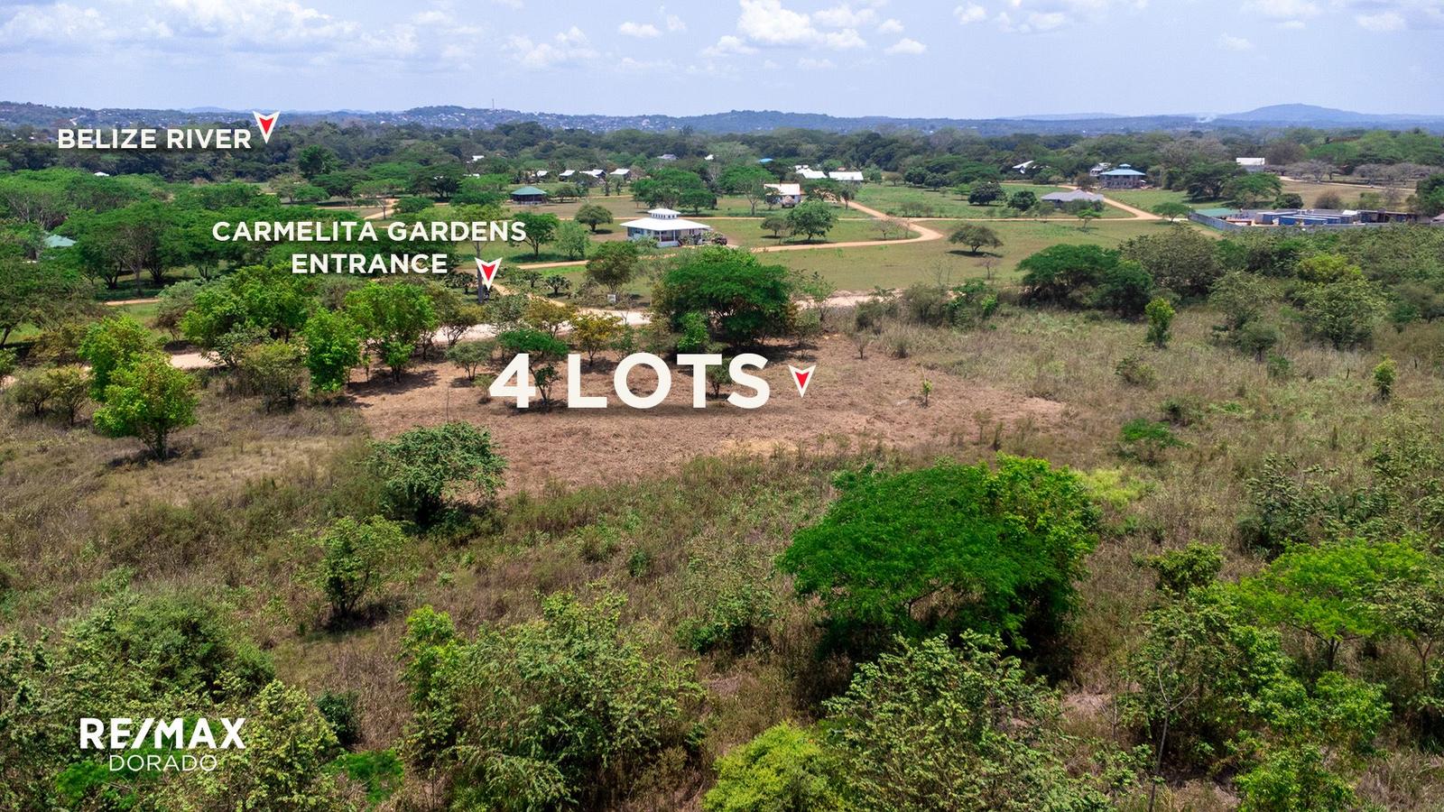 4 oversized lots near riverfront community — photo 1