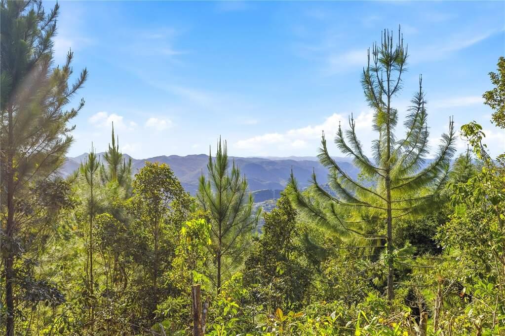 Private Mountaintop Retreat in Cayey — photo 4