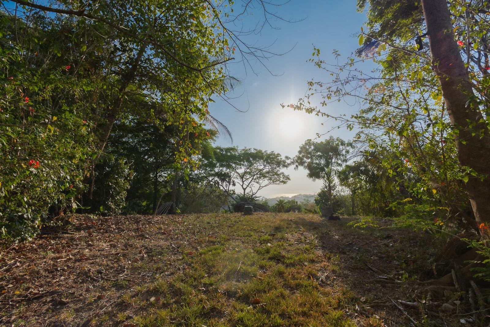 4.45 Acres of Land for Sale, Santiago, Santa Teresa, Puntarenas, Costa Rica — photo 4