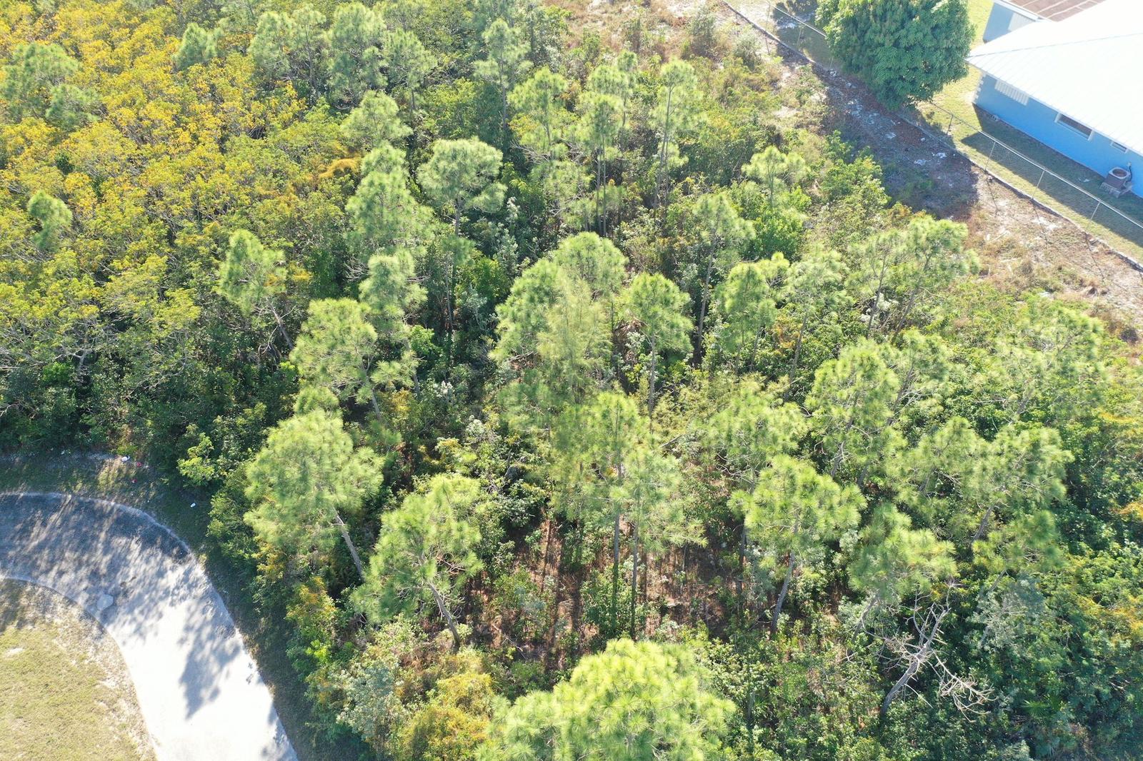Vacant Land for sale - Lot 7, Block 35, South Bahamia — photo 3