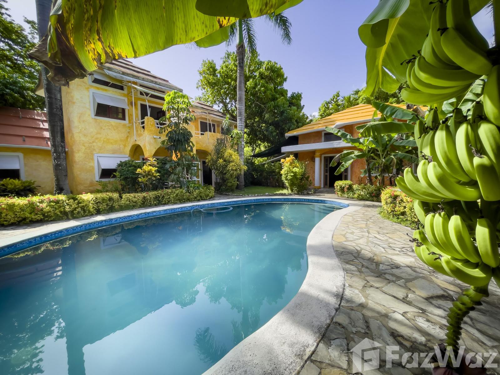 CABARETE Charming B&B Just Steps from the Beach — photo 3