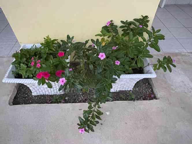 5 Bed | 4 Bath House for Sale in Bahamas — photo 5