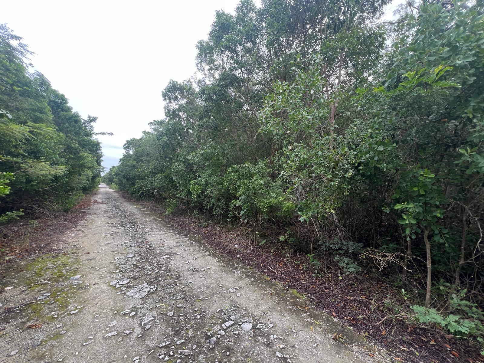 DOLPHIN ROAD — photo 1