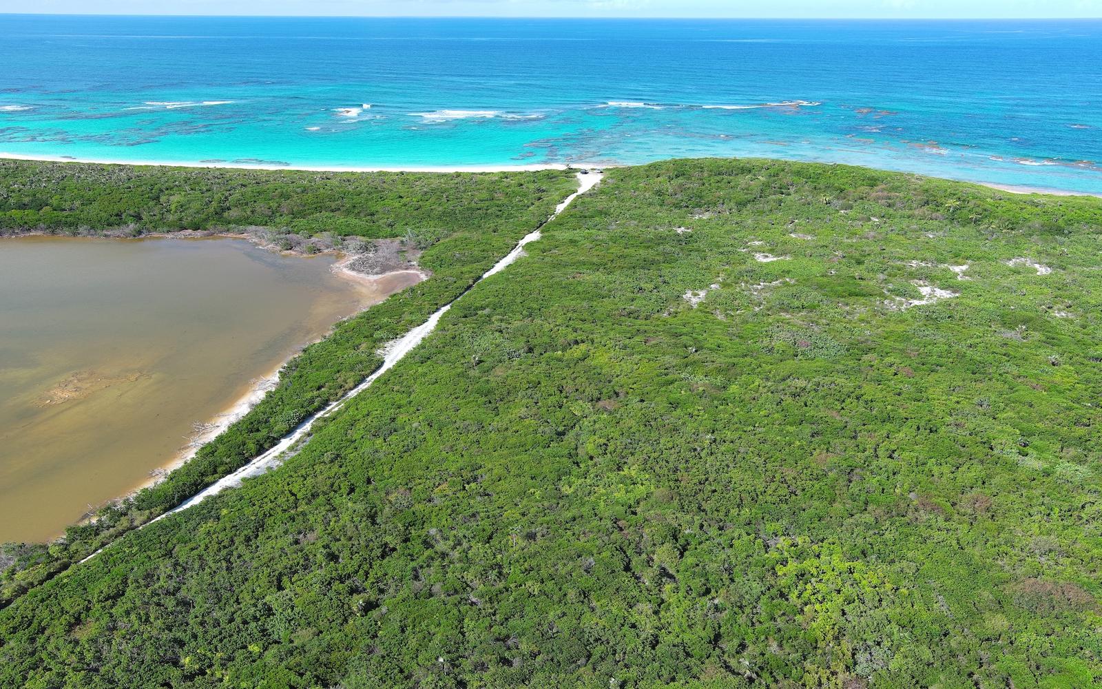 Lot A2, Salt Pond, Bahamas — photo 5