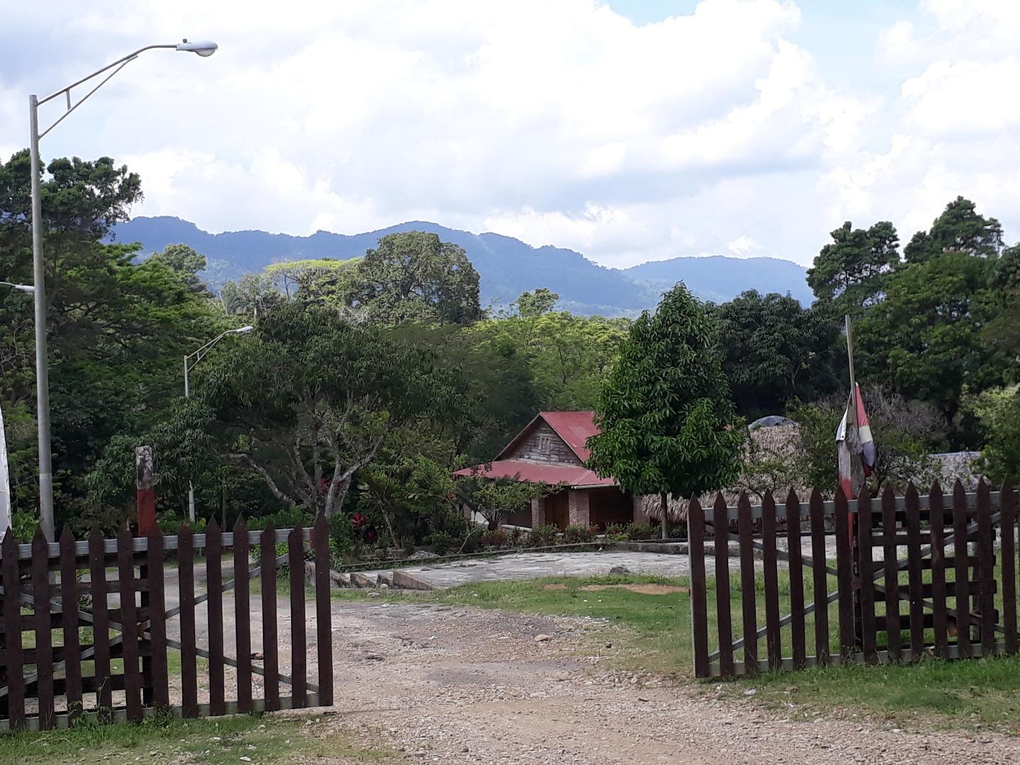 Cocoa And Mixed Fruits Farm + Cocoa Processing Installation — photo 3