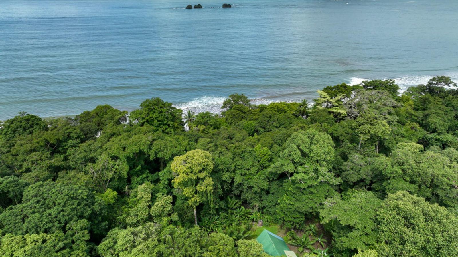 2.75 Acre Beachfront Property for Sale, Uvita, Puntarenas, Costa Rica — photo 4