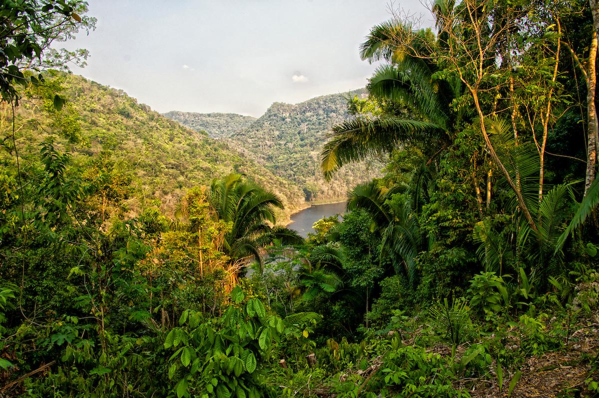 0.61-Acre Rainforest Lot 71 in Better In Belize — photo 1