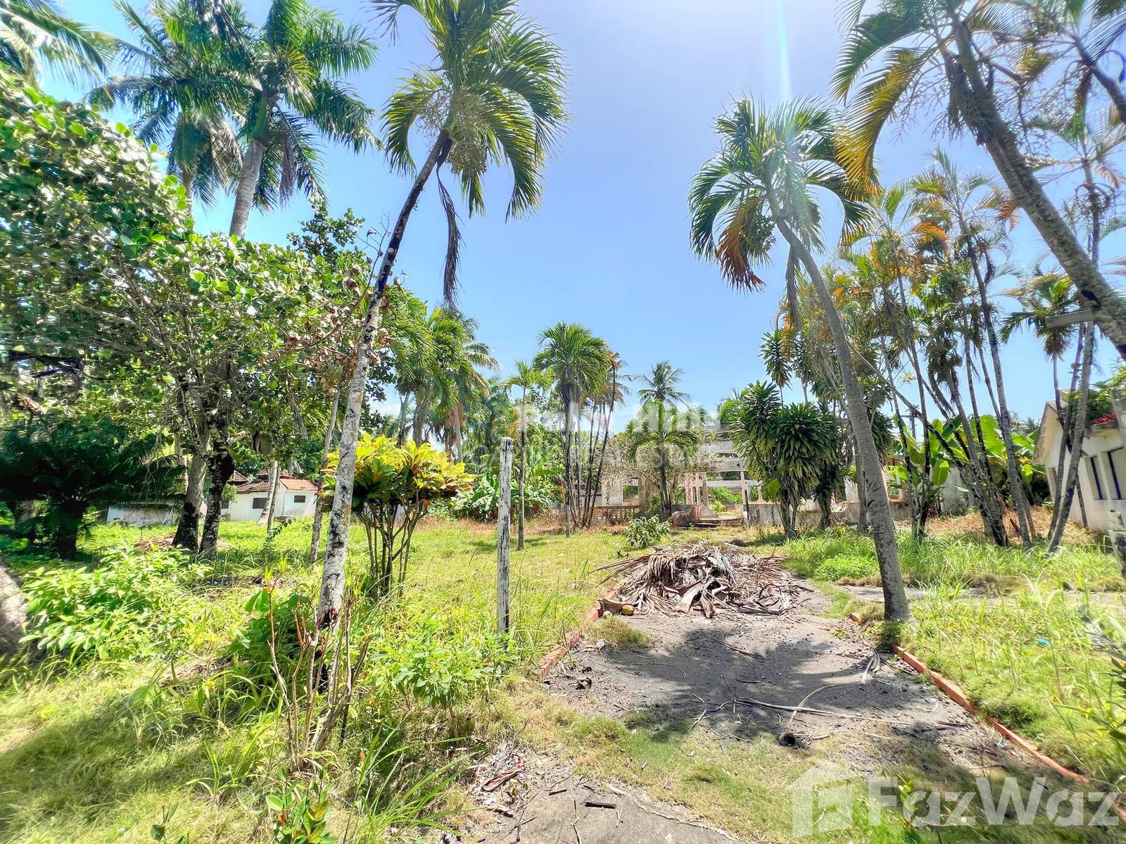 90-bedroom hotel in Cabarete — photo 4