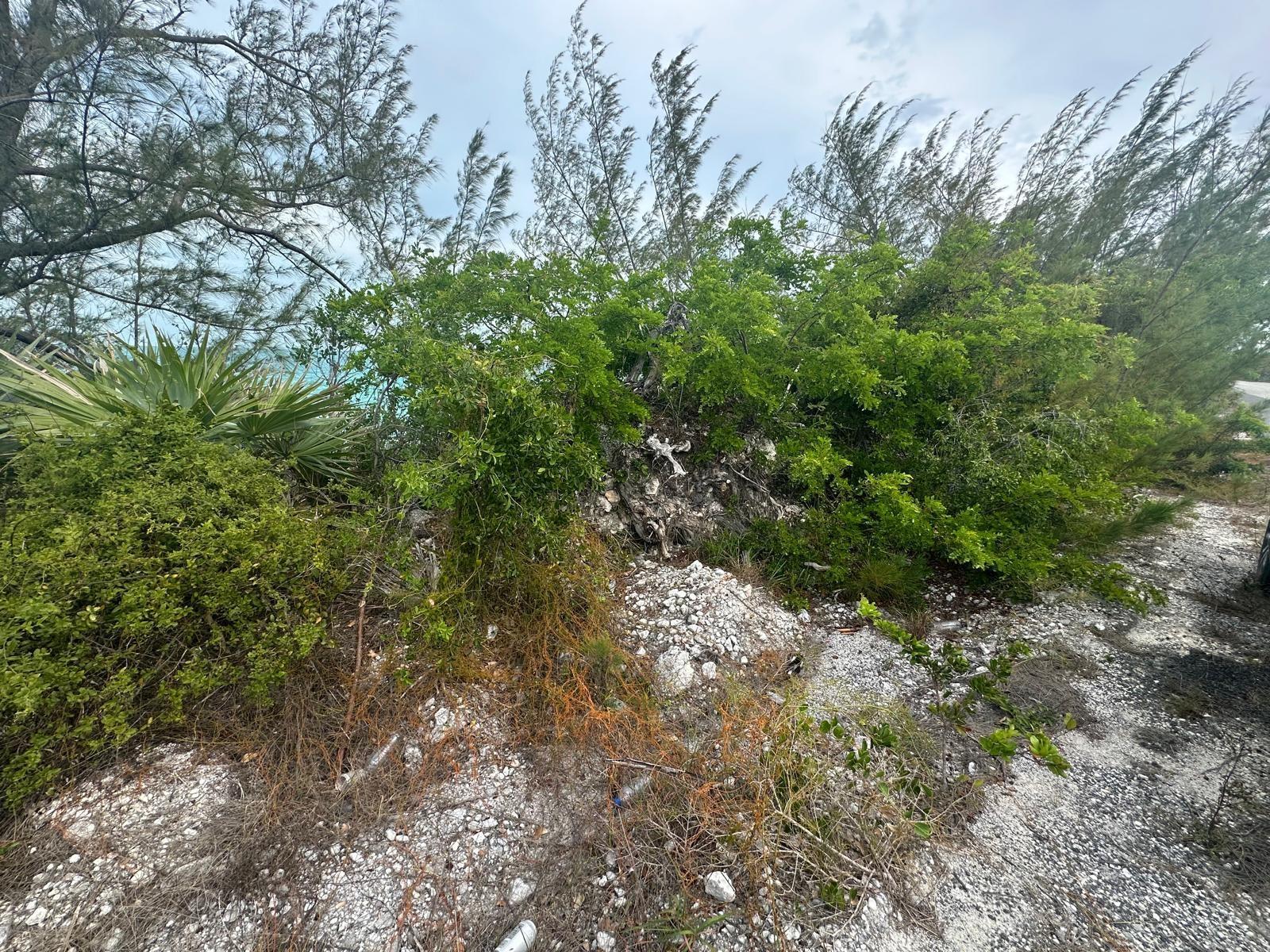 3 LIL BLUFF SAVANNAH SOUN — photo 2