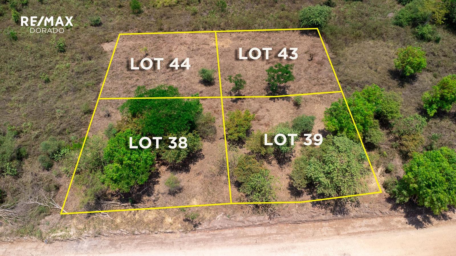 4 oversized lots near riverfront community — photo 3