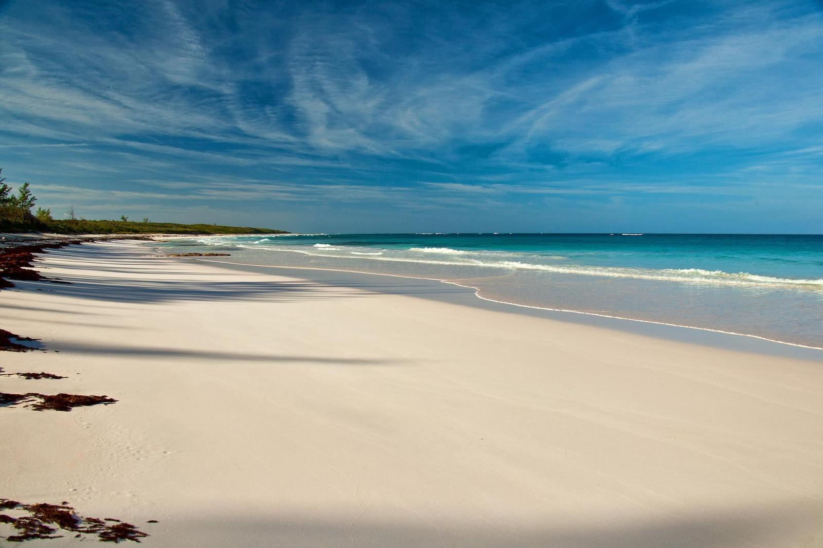 90 ACRE BEACHFRONT PARCEL — photo 4