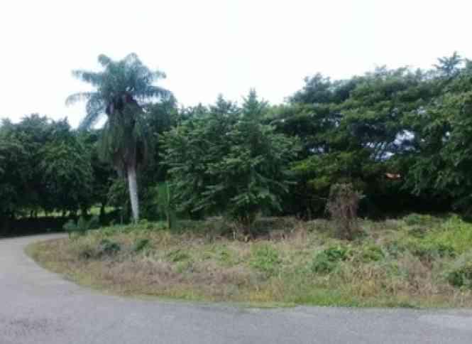 Land for sale in San Pedro de Macoris — photo 3