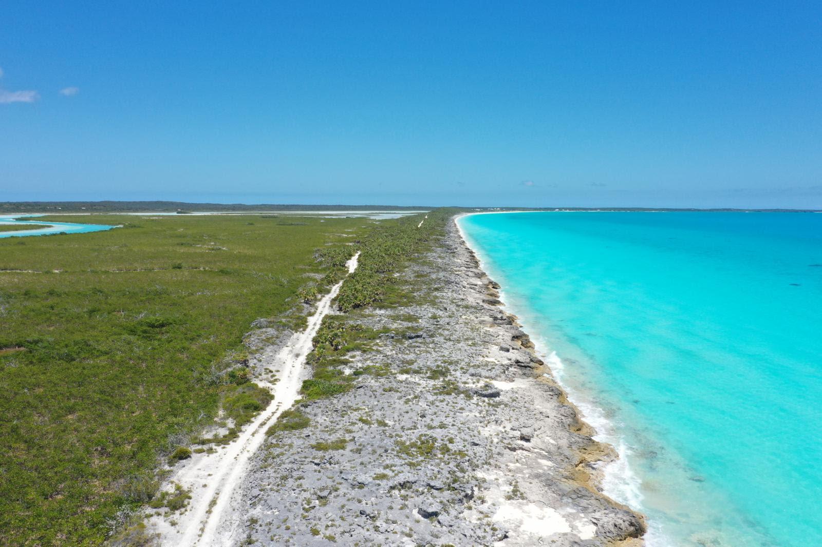 Stunning Peninsula Estate on Pigeon Cay — photo 5