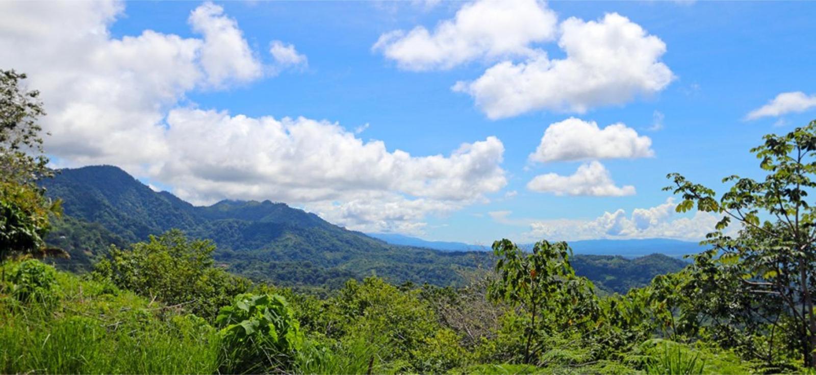 150 Acres of Land for Sale, Ojochal, Puntarenas, Costa Rica — photo 2