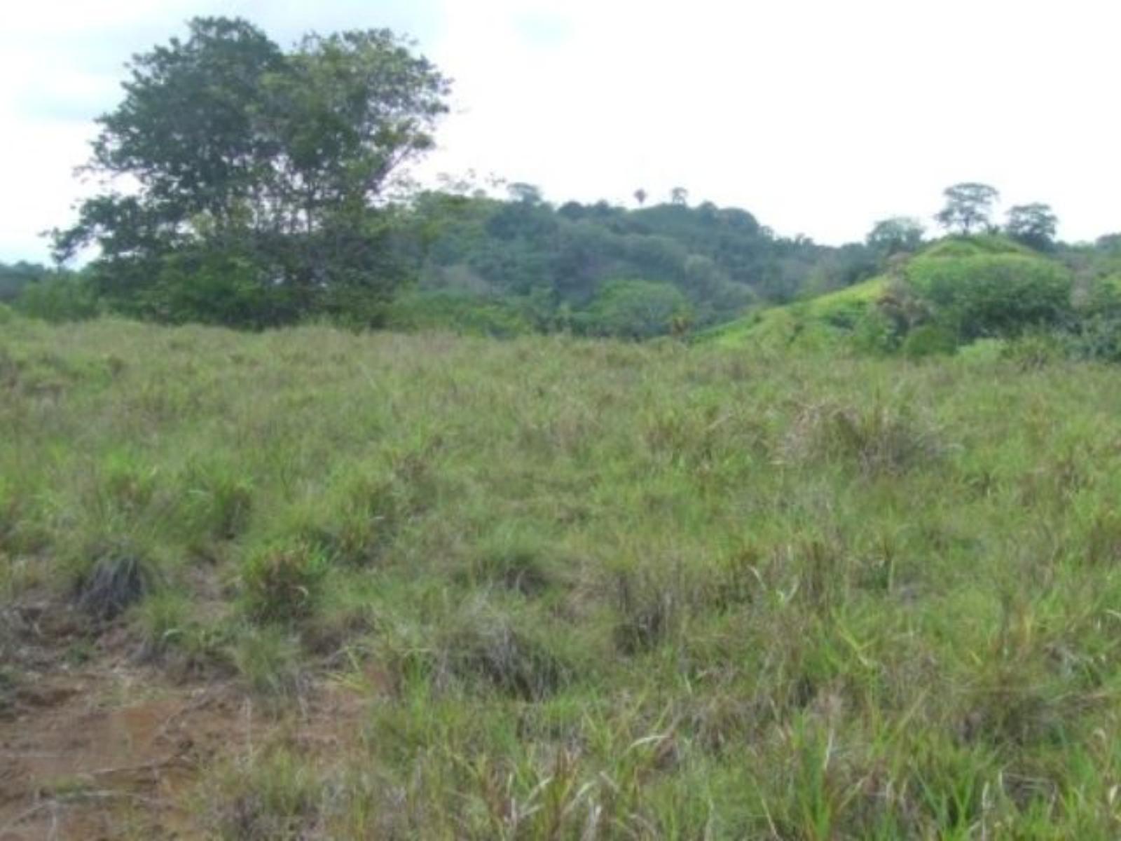 61 Acres of Development Land for Sale in Quepos, Puntarenas, Costa Rica — photo 5