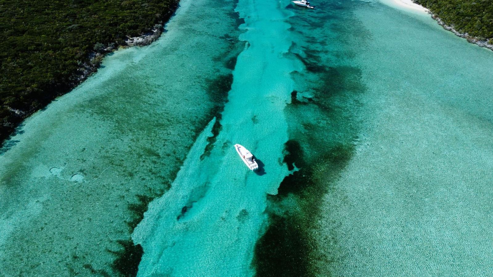 Roberts Cay, Private Island — photo 5
