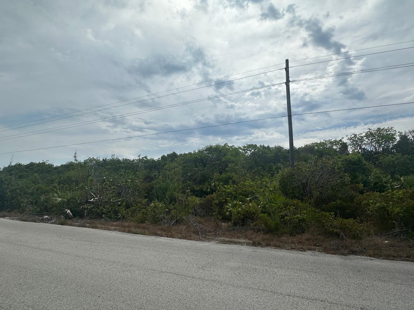 3 LIL BLUFF SAVANNAH SOUN — photo 1