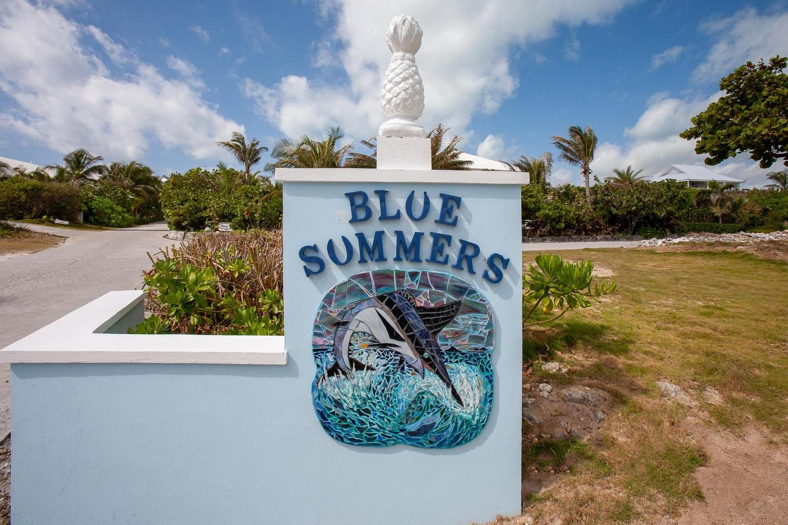 BLUE SUMMER — photo 1