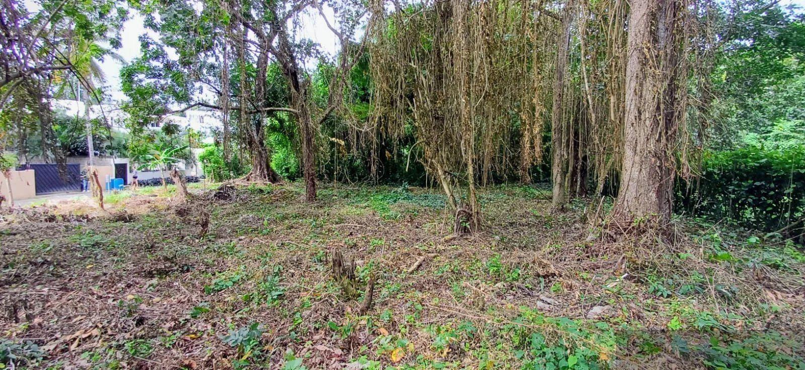 Residential Lot in Perla Marina, Cabarete — photo 4