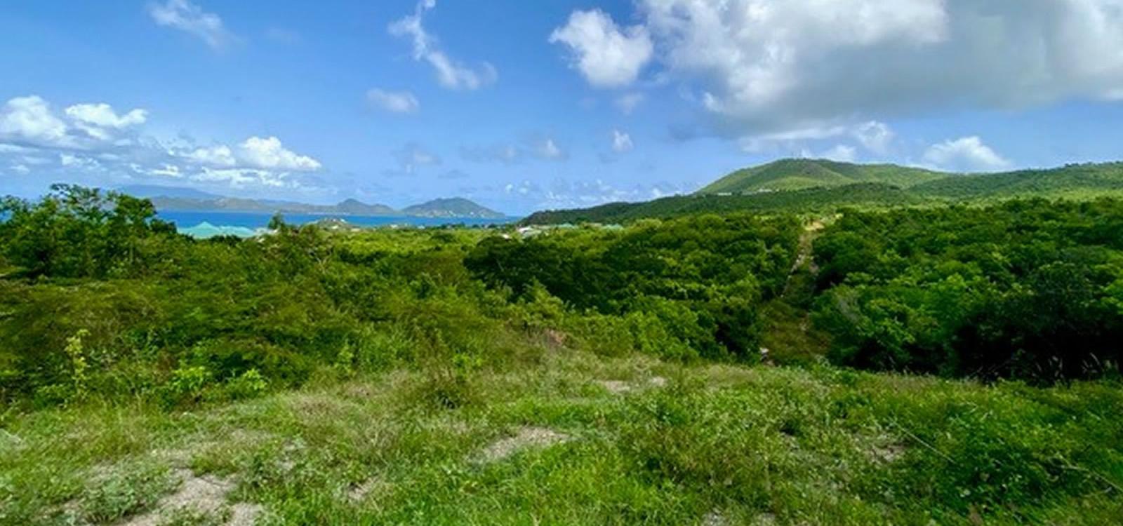 3-acre land in Clifton Estate, Cades Bay, Nevis — photo 3