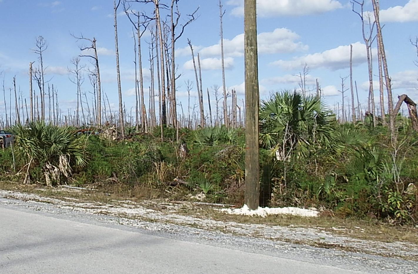 Vacant Land for sale - Lot 18, Blackwood, Bahamas — photo 2