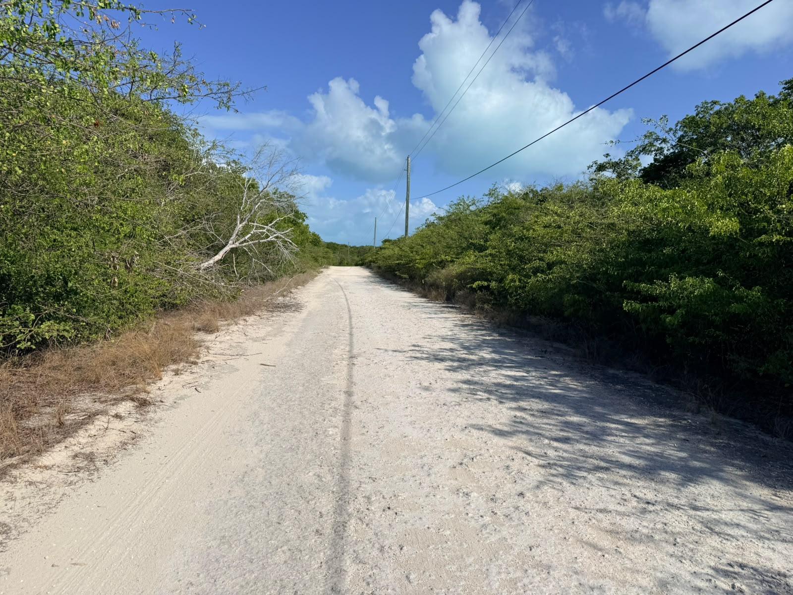 Vacant Land for sale - Lot 1194 And 1195, Bahama Island Beach — photo 2