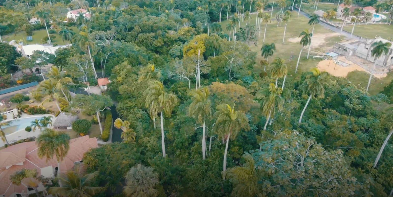 Opportunity 13000m2 At Rock Bottom Price — photo 3